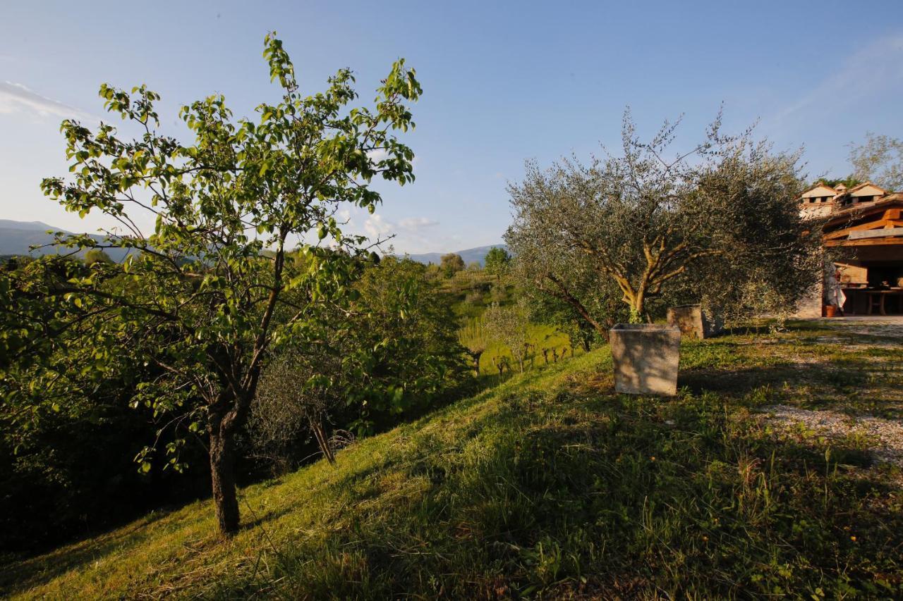 Monfumo Asolo Norah'S Hill Agri Rooms מראה חיצוני תמונה
